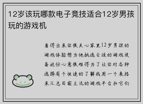 12岁该玩哪款电子竞技适合12岁男孩玩的游戏机